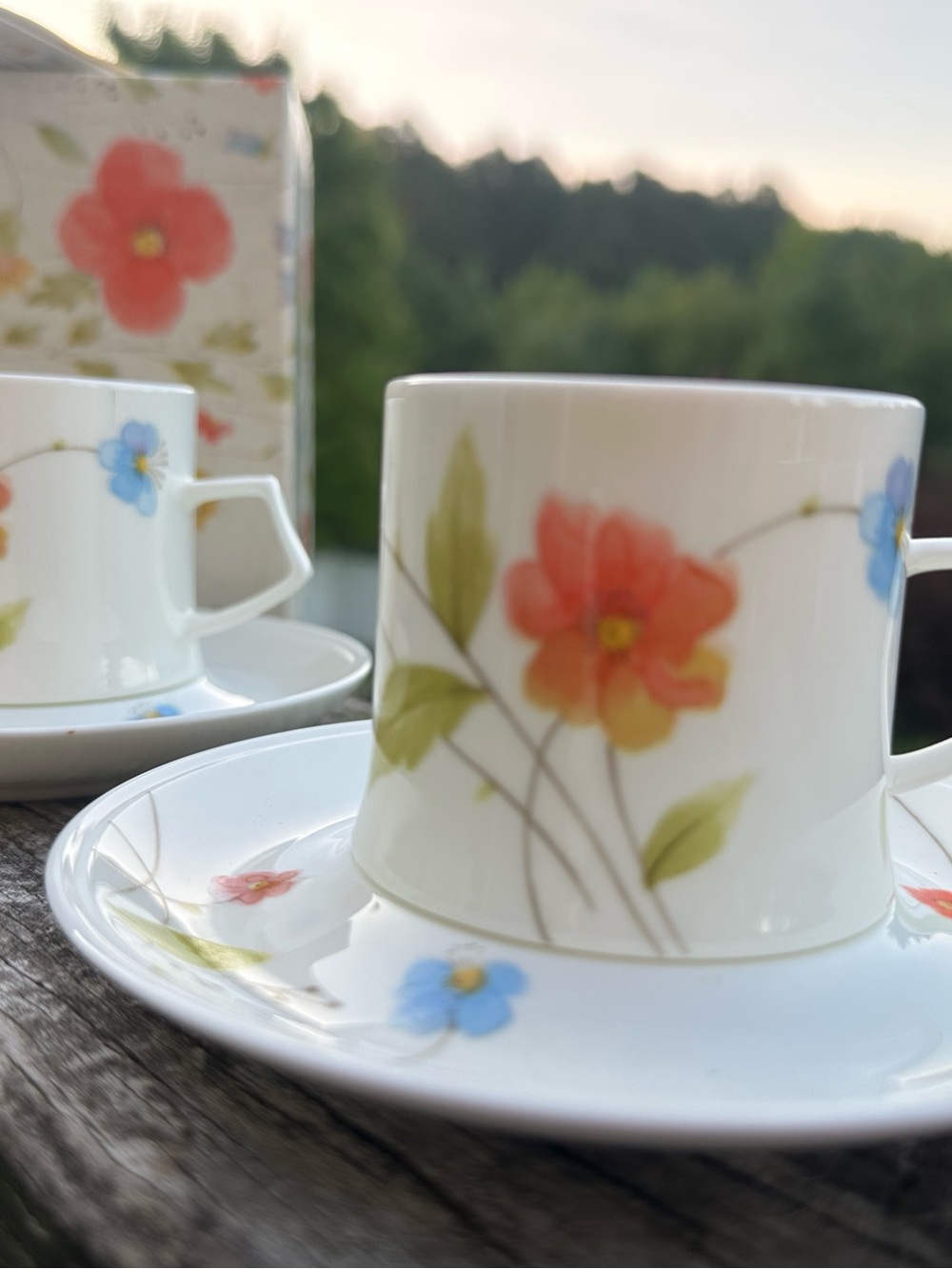Pair of Mikasa demitasse bone China cups and saucers